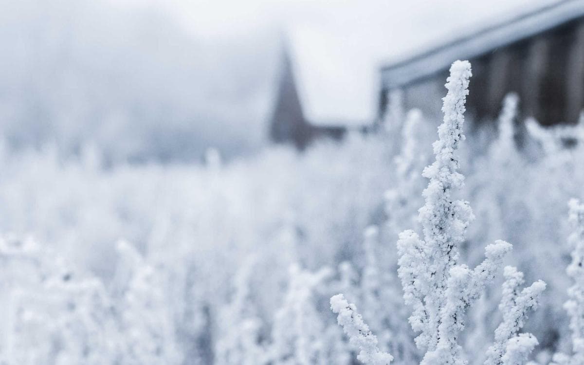 Pro Lightroom Presets Vol.158