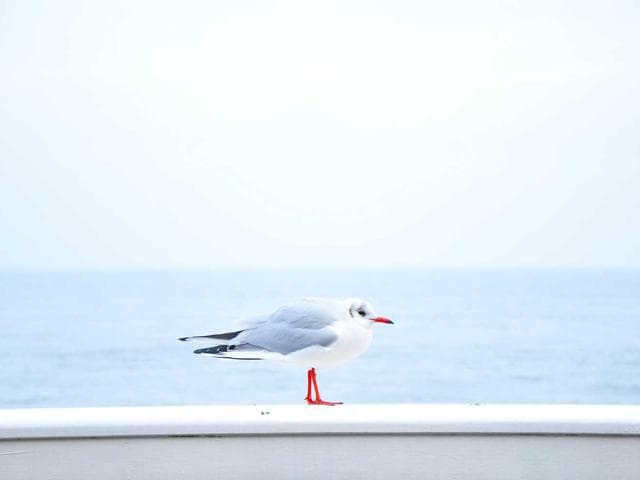 Minimal Filter Set Vol.450