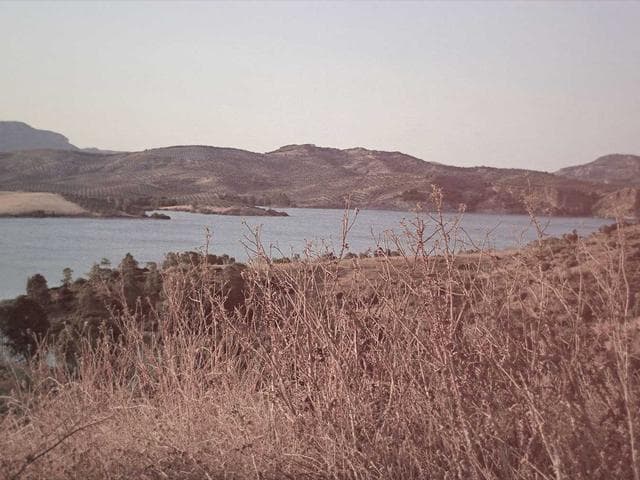 Premium Sans Family Vol.219