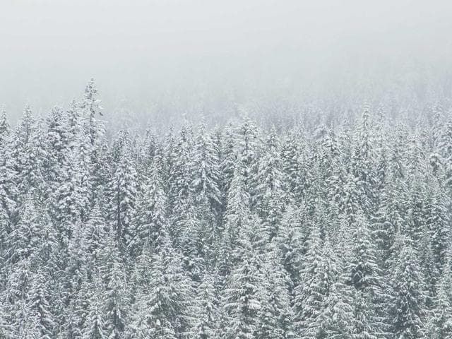 Minimal Poster Layout Vol.386