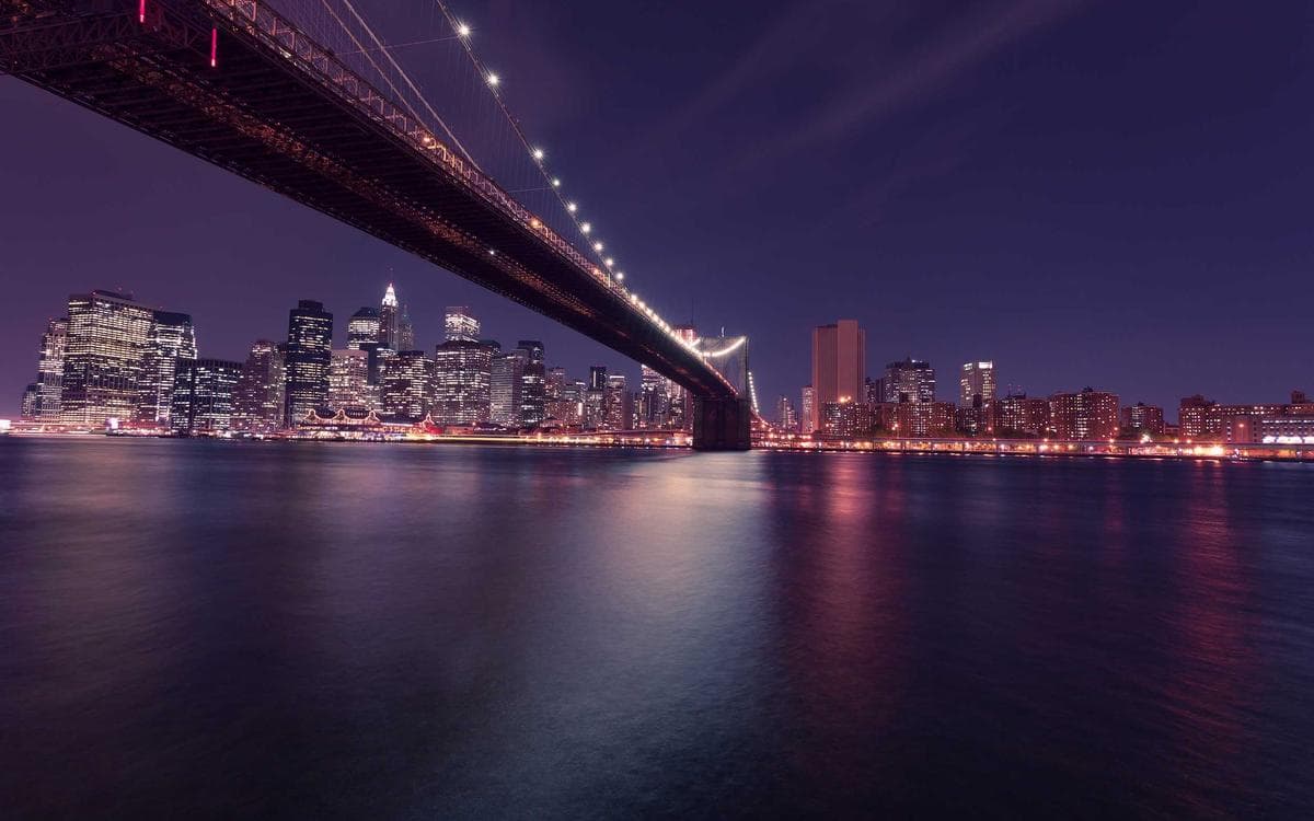 Bold Social Media Kit Vol.435