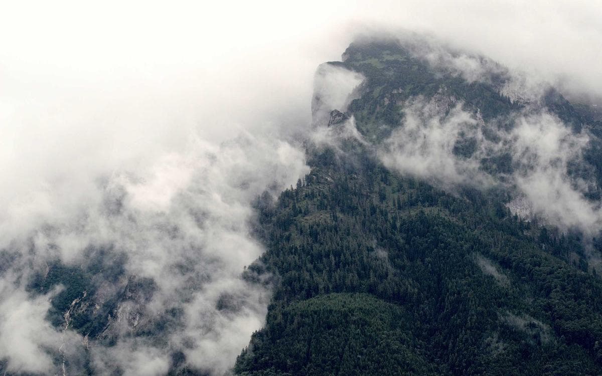 Pro Texture Pack Vol.302