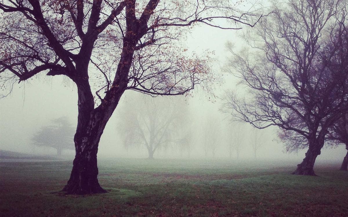 Bright Workspace Shots Vol.424