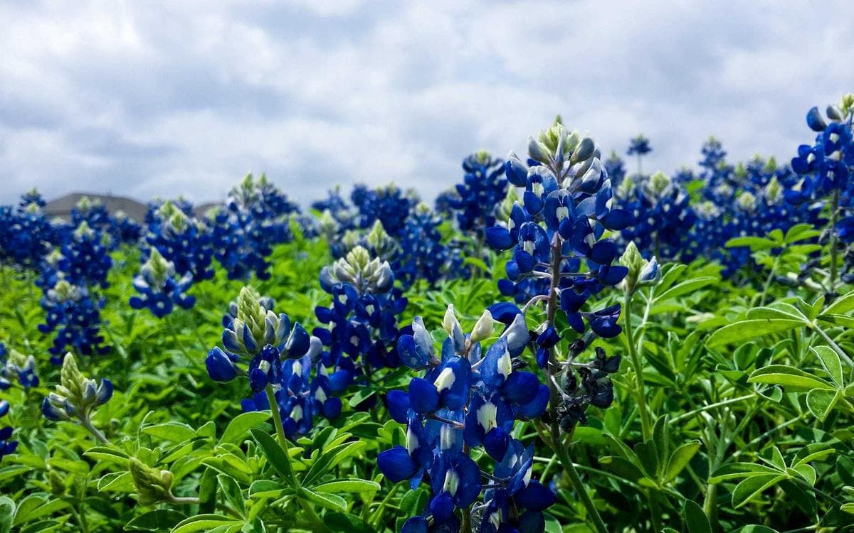 Pro Annual Report Vol.478