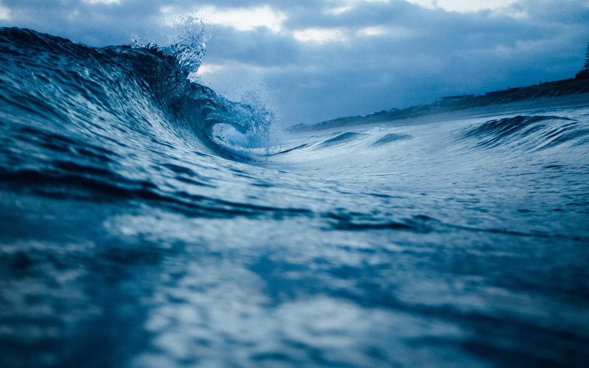 Modern Social Clip Pack Vol.449