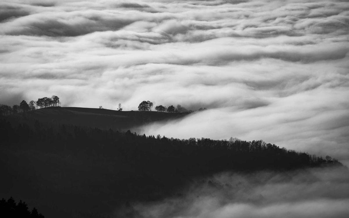 Essential Blog Starter Vol.156