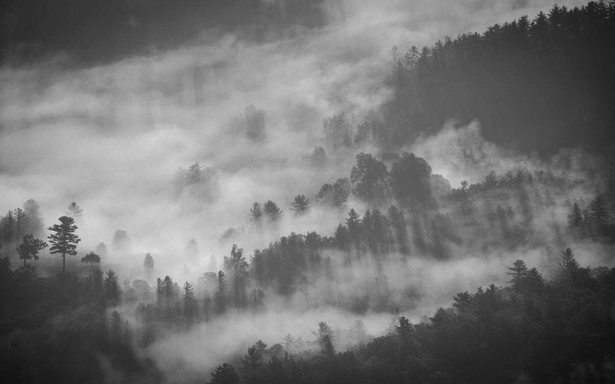 Vintage SaaS Template Vol.196