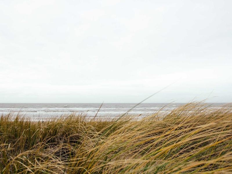 Minimal Lightroom Presets Vol.146