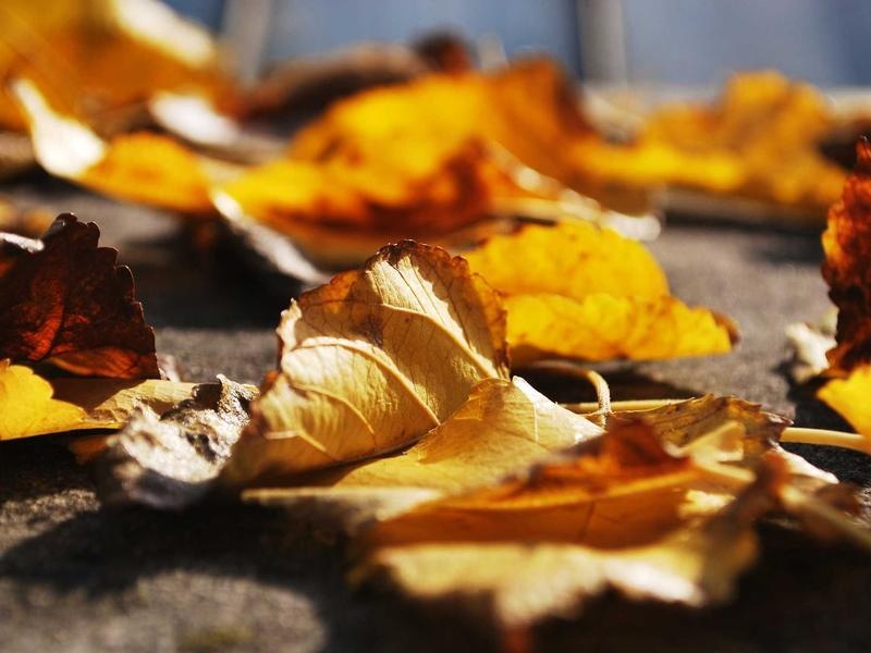 Ultimate Photoshop Actions Vol.301