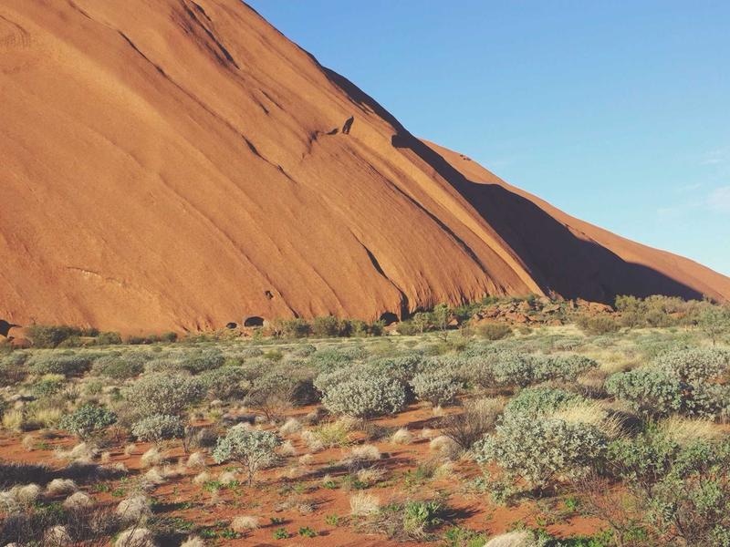 Pro Overlay Collection Vol.334