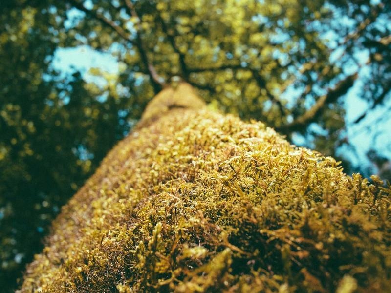 Playful Filter Set Vol.390