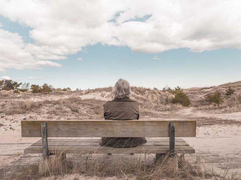 Bold Business Guide Vol.259