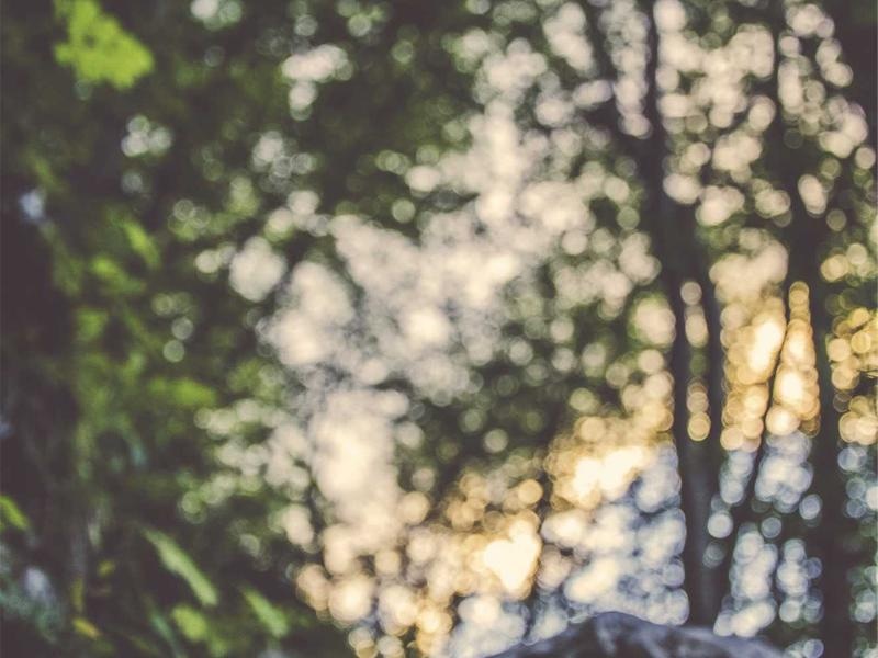 Playful Background Kit Vol.406