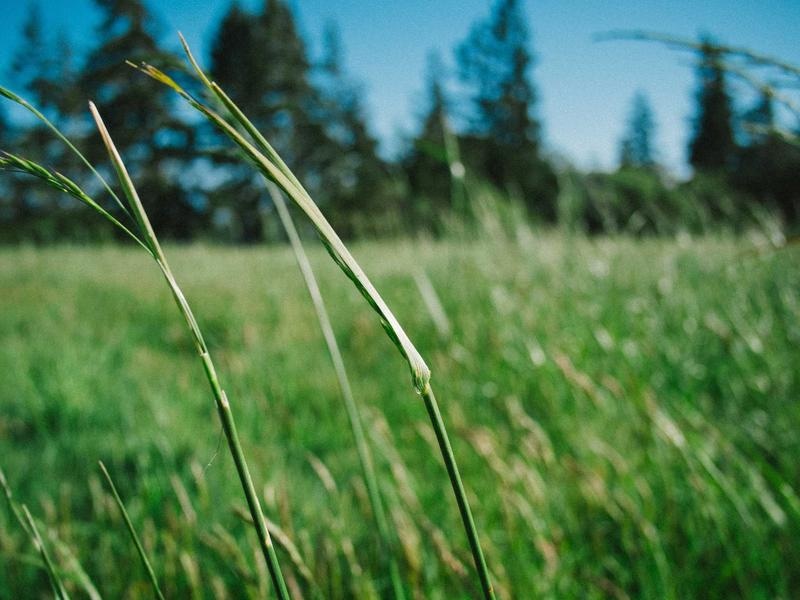 Essential Slideshow Kit Vol.460