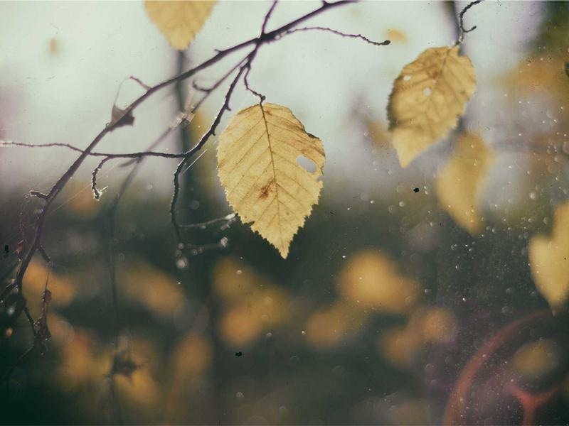 Elegant Landing Page Kit Vol.85